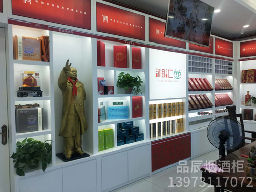 娄底湘汇636加盟店·背柜